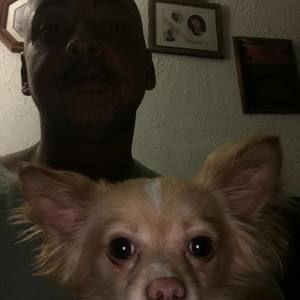 Meet your Posher, Bobby